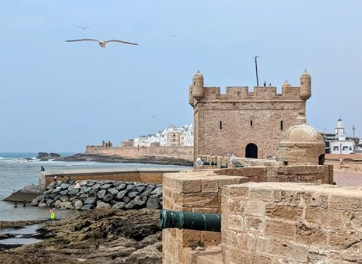 Voyages Responsables et Solidaires 51 Une journée à Essaouira (1)