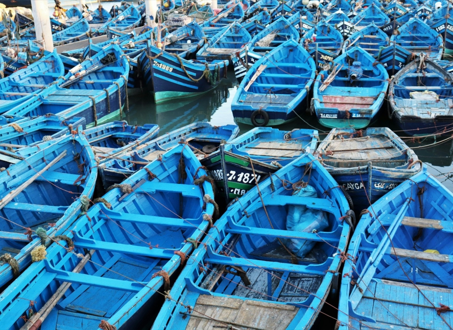 Voyages Responsables et Solidaires 52 Une journée à Essaouira